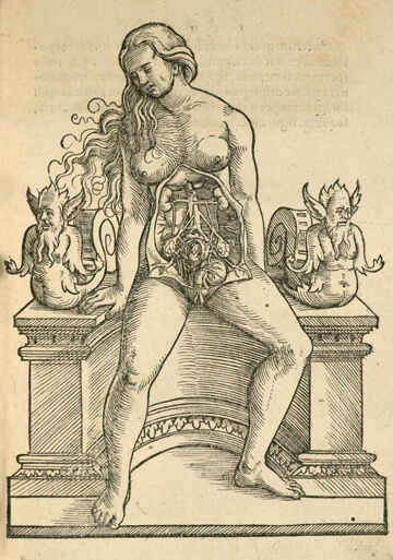Weibliche Anatomie im Überblick Weibliche Anatomie (Holzschnitt)